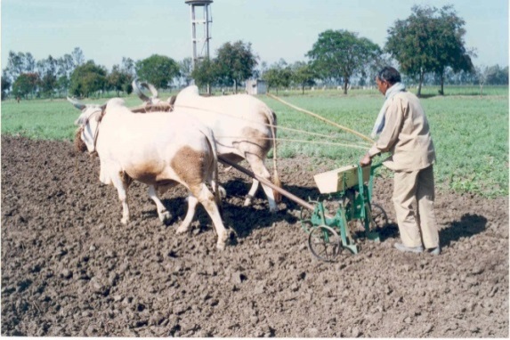 BD_seed_drill_2