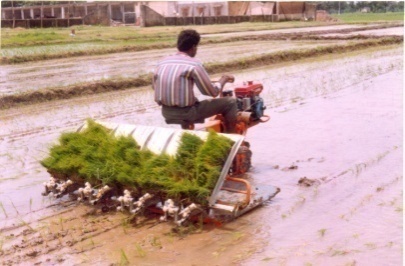 H:\GHOLAP 02.07.15 onward\FIM at a glance\Photo-at a glance\Self propelled rice transplanter.jpg