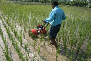 Power Weeder for Low Land Rice