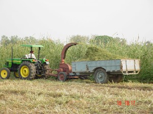 Tractor Mounted Fodder Harvester