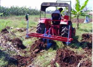 Tractor operated banana clump remover