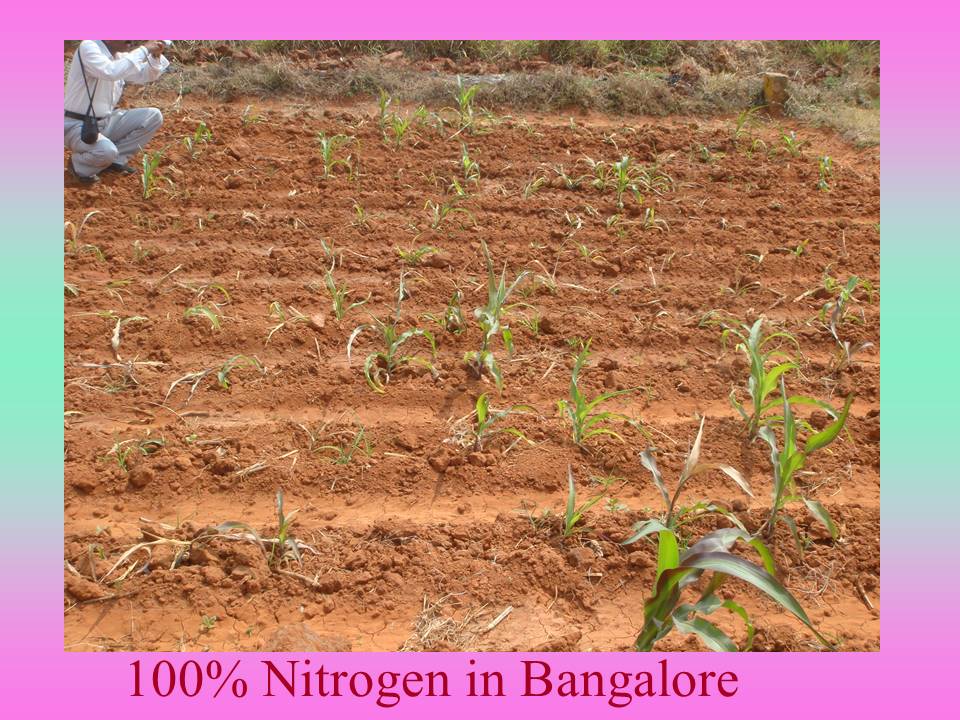 100% Nitrogen in Bangalore