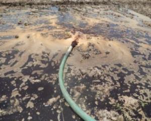 Reclamation of sodic soils using  Distillery Spent Wash in Tamil Nadu-2